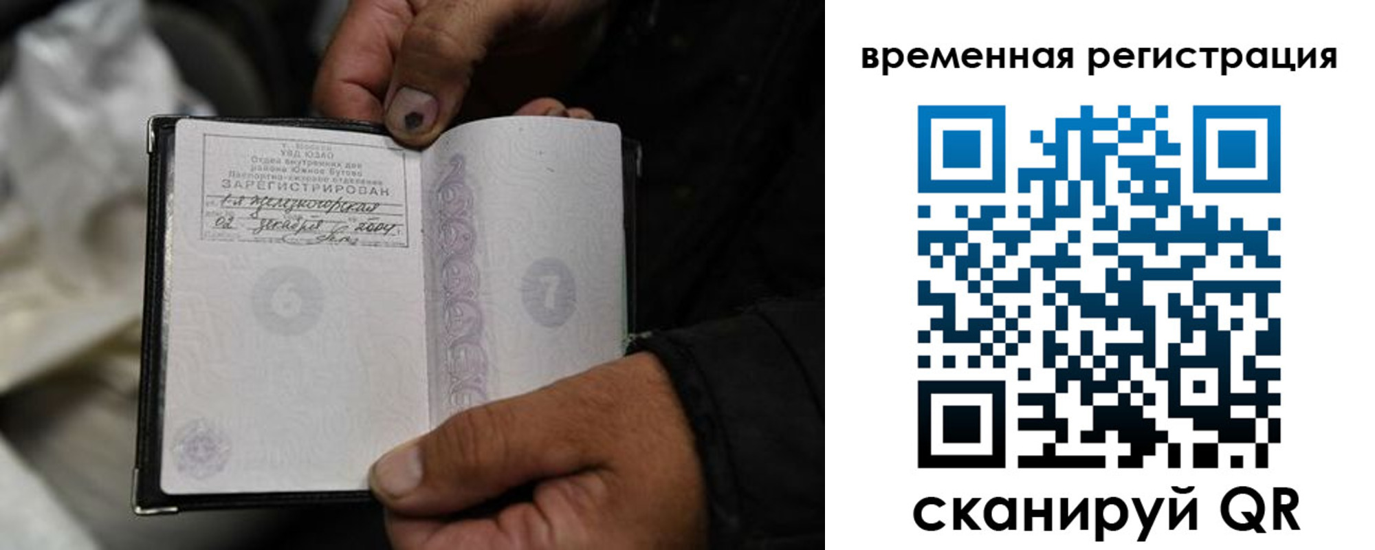 прописка поиск в Дальнегорске